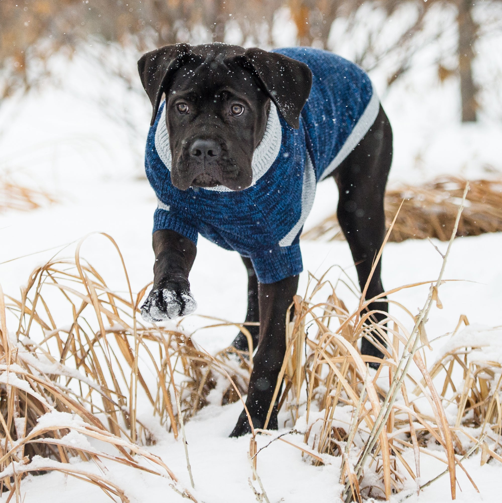 78940825