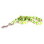 Green Daisy Dog Leash