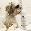 Cucumber Melon Foaming Facial For Dogs