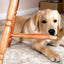 Dog Bitter Spray Anti-Chew - Anti-Lick