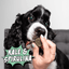 Crunchy Dog Biscuit Bundle, 4-Pack