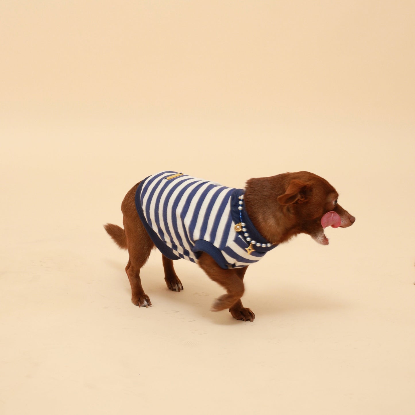 Blue Striped Cotton Tank Top