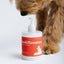 Spritz (Dog Shampoo & Conditioner Duo)