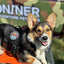 Kiloniner Corgi Squad Morale Patch