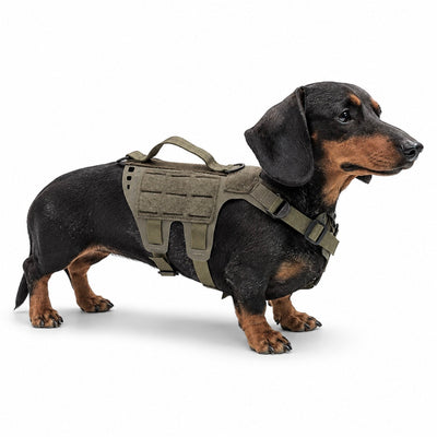 K9R - D5 MOLLE Light Harness