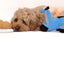 Croissant Nose Work Toy / Enrichment Toy