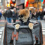 Mr. Peanut's Gold Series Standard Size Airline Compliant Expandable Pet Carrier V2.0