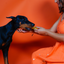 Turmeric Cheese Chews for Dogs