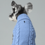 Pet Sweater Vest - Ice Blue