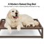 The Up Pup Dog Cot
