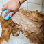Spritz (Dog Shampoo & Conditioner Duo)