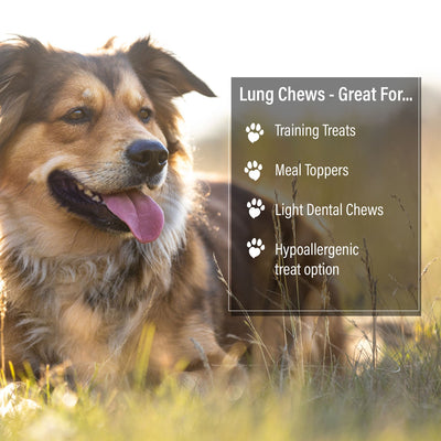 ValueBull Beef Lung Wafers, Premium 6 Pounds