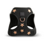 SoHo Complete Dog Walking Set - Rockstar