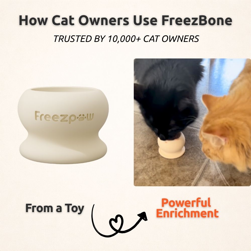 FreezPounce Cat Durable Fillable