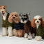 GLACIER PET SWEATER - NAVY
