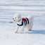 Sailor of My Heart Striped Turtleneck Sweater