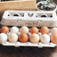 Henlay Laid Local Egg Cartons- Adorable Printed Vintage Design- 25, 90, or 250