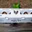 Henlay Laid Local Egg Cartons- Adorable Printed Vintage Design- 25, 90, or 250
