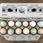 Henlay Blank Stamping Egg Cartons - 25, 90, or 250