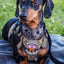 Kiloniner Wiener Squad Morale Patch