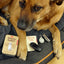 Your New Dog Welcome Tin