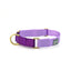 Martingale Dog Collar