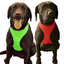 Comfort Mesh Dog Harness by cuteNfuzzyÂ® with Six Month Warranty