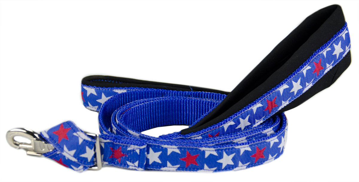 Padded Double Handle Patterned Dog Leash with Warranted Snap 1" X 4'