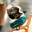 Cooling Shemagh Scarf