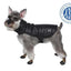 AKC Belly Band Dog Puff Coat