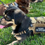 DAD SAYS I’M SPECIAL Morale Patch