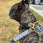 Good Boy Morale Patch