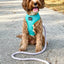 Dog Rope Leash - Serenity