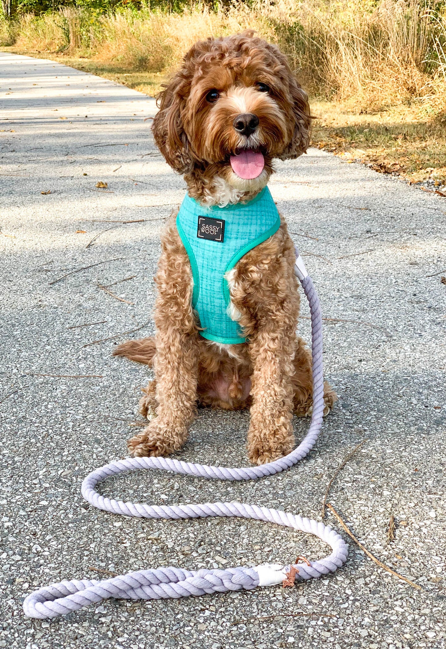 Dog Rope Leash - Serenity