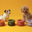 Soufflé Pet Bowl - Frozen Blue
