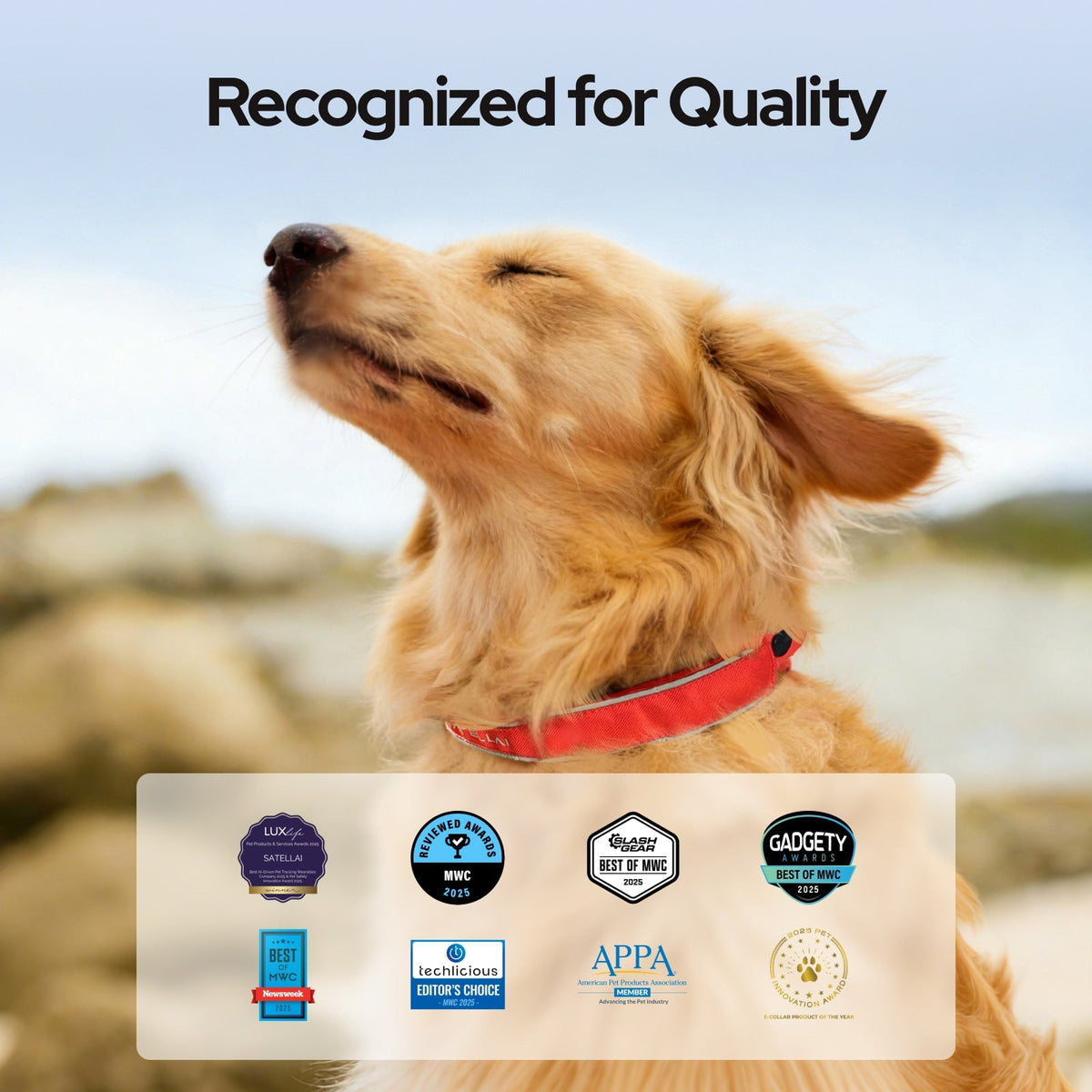 SATELLAI Collar GPS Dog Fence