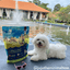 Steakhouse Beef & Zucchini Air-Dried Dog Food