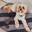 Kaya Dog Blanket Black - Large