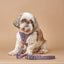 SoHo Dog Harness - Lilac Gray