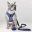SoHo Dog Harness - Denim
