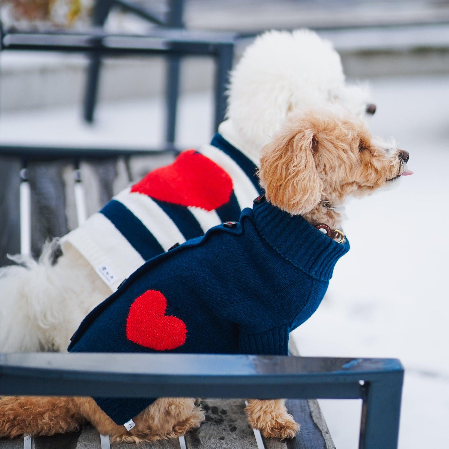 Heart to Heart Button-Up Cardigan Sweater
