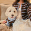 Bluebell Stripes Crop Cardigan