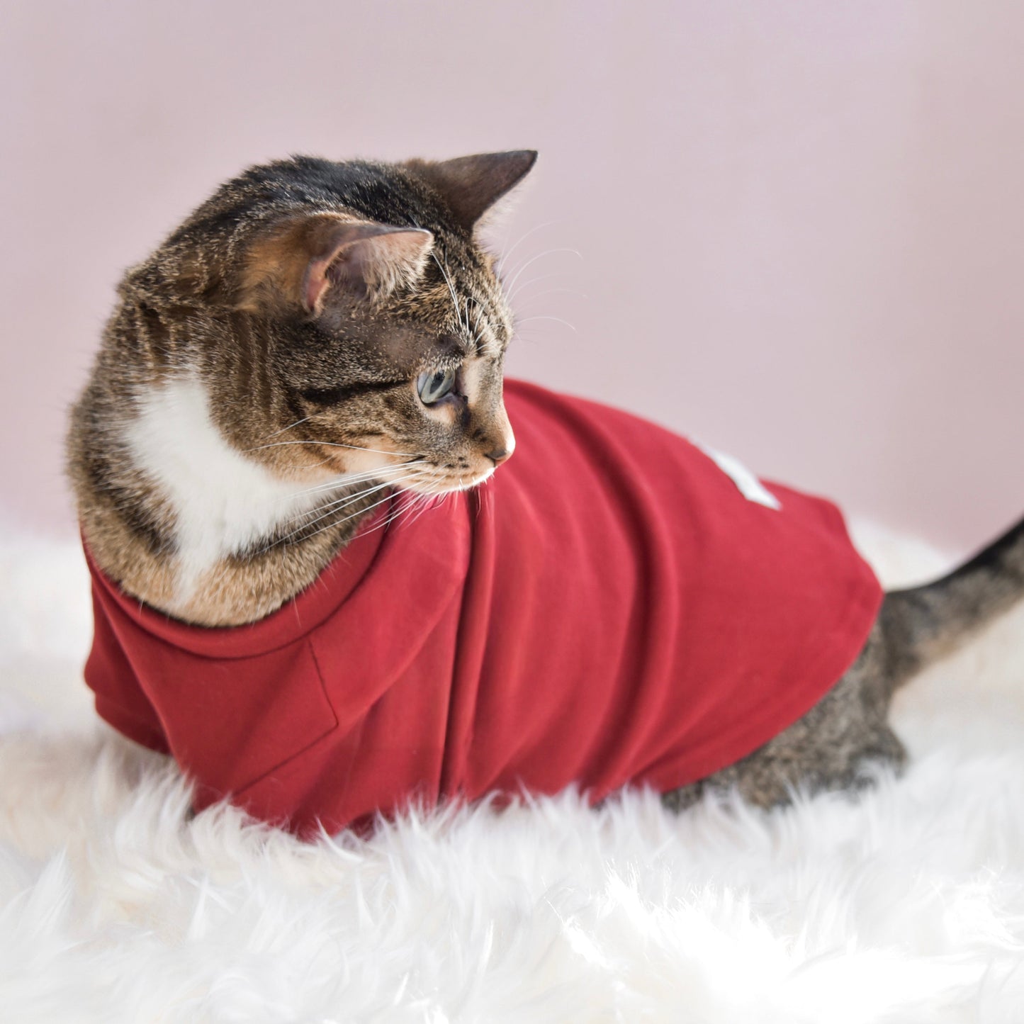 Fur Elise Spoiled Mock Neck Shirt - Lucky