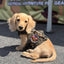 Kiloniner Wiener Squad Morale Patch