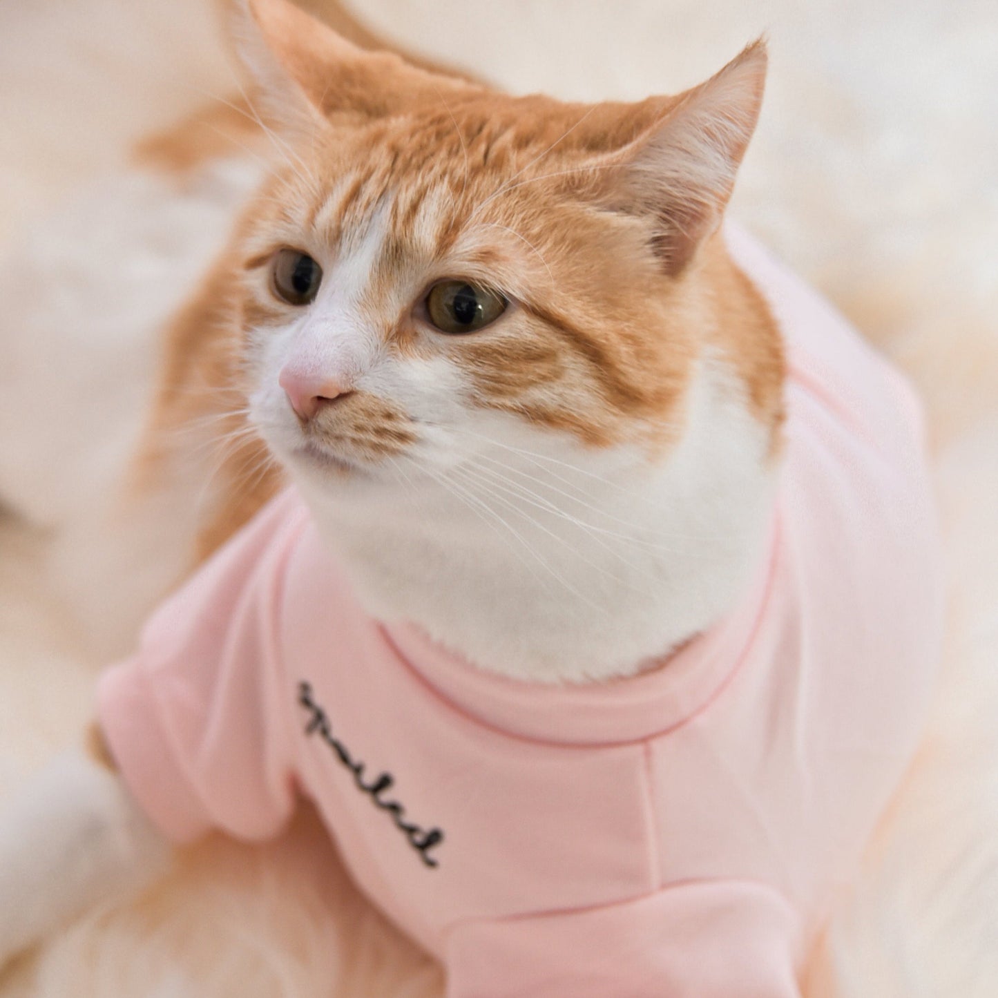 Fur Elise Spoiled Mock Neck Shirt - Blush