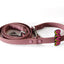 Collar & Leash Tabs