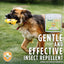 Herbal Defense Powder