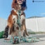 Dog Leash - Scooby-Doo™