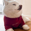 Fur Elise Spoiled Mock Neck Shirt - Lucky