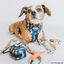 Dog Collar - STAR WARS™ Ahsoka